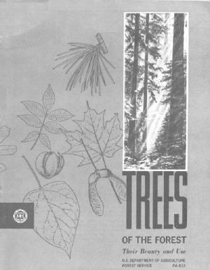 [Gutenberg 59412] • Trees of the Forest: Their Beauty and Use